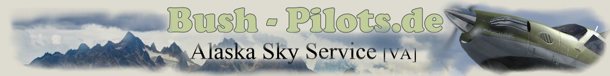 Bush-Pilots